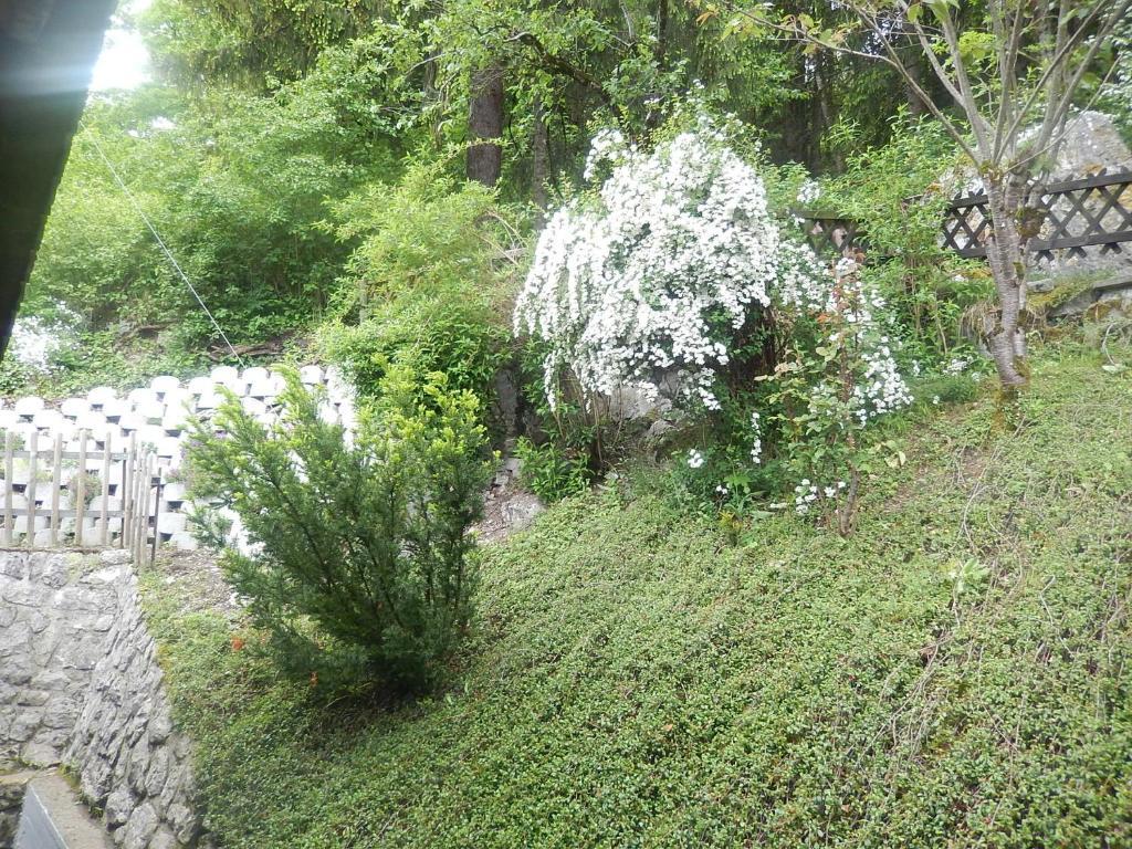 Ferienwohnung Kalchofen Boltigen Εξωτερικό φωτογραφία